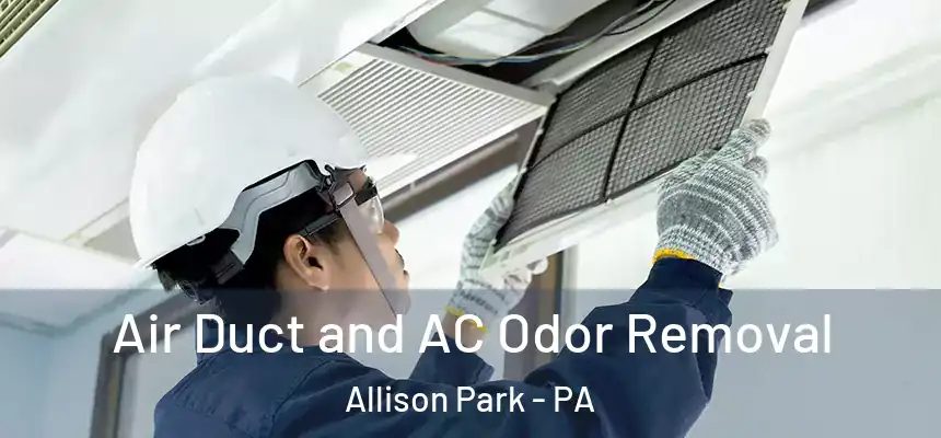  Air Duct and AC Odor Removal Allison Park - PA