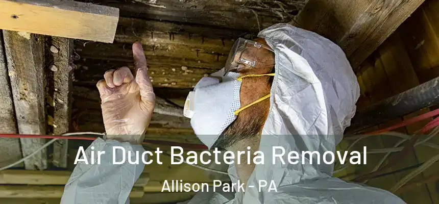  Air Duct Bacteria Removal Allison Park - PA