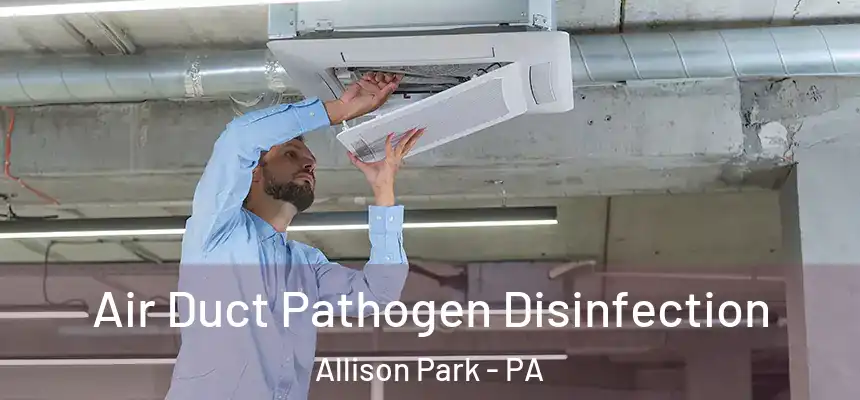 Air Duct Pathogen Disinfection Allison Park - PA