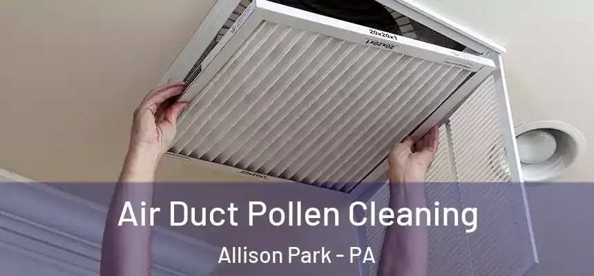  Air Duct Pollen Cleaning Allison Park - PA