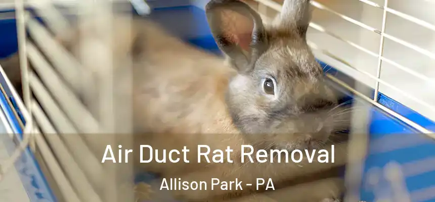 Air Duct Rat Removal Allison Park - PA