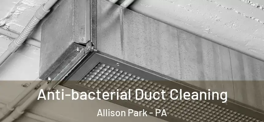  Anti-bacterial Duct Cleaning Allison Park - PA