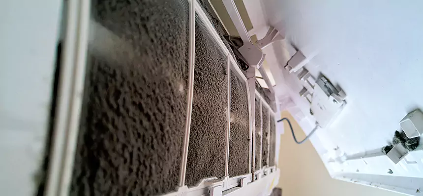 Preventive Air Duct Bacteria Removal in Allison Park