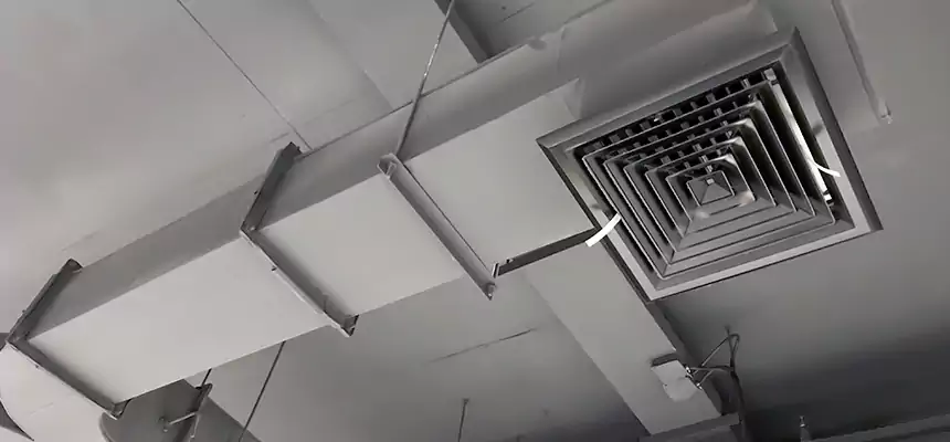 Restorative Allergy Relief Vent Cleaning – Coil, Blower & Housing Detail in Allison Park