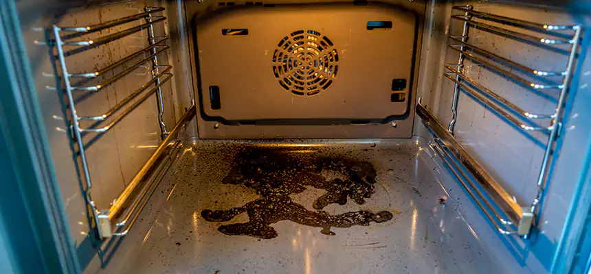 Our Dryer Vent Mold Cleaning Services in Allison Park, PA