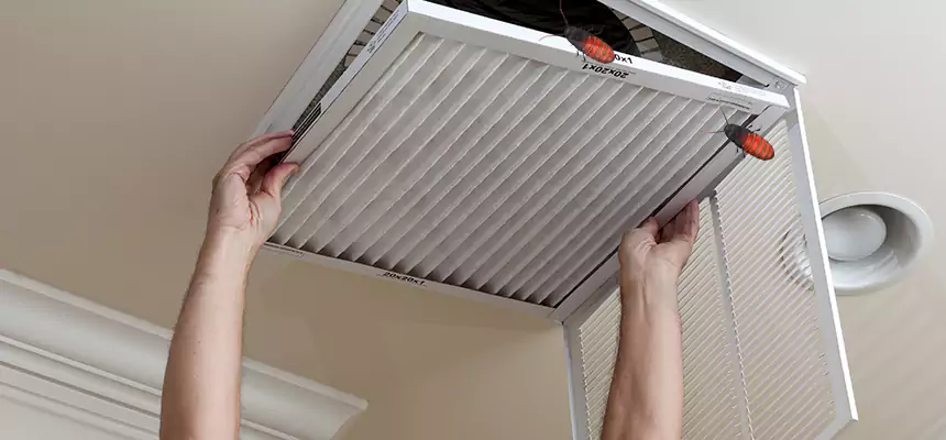 Our Insect Removal from Air Ducts Services in Allison Park, PA