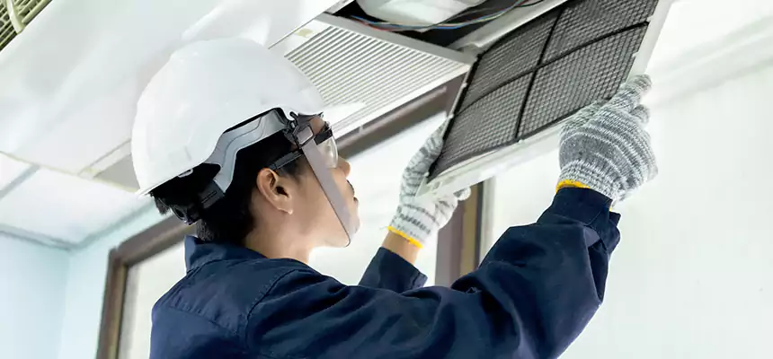 Our Mold & Mildew Removal from Air Ducts Services in Allison Park, PA