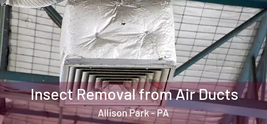  Insect Removal from Air Ducts Allison Park - PA