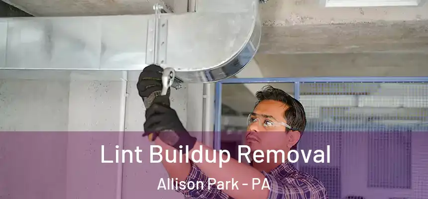  Lint Buildup Removal Allison Park - PA