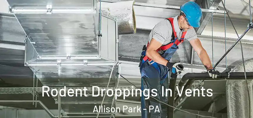  Rodent Droppings In Vents Allison Park - PA