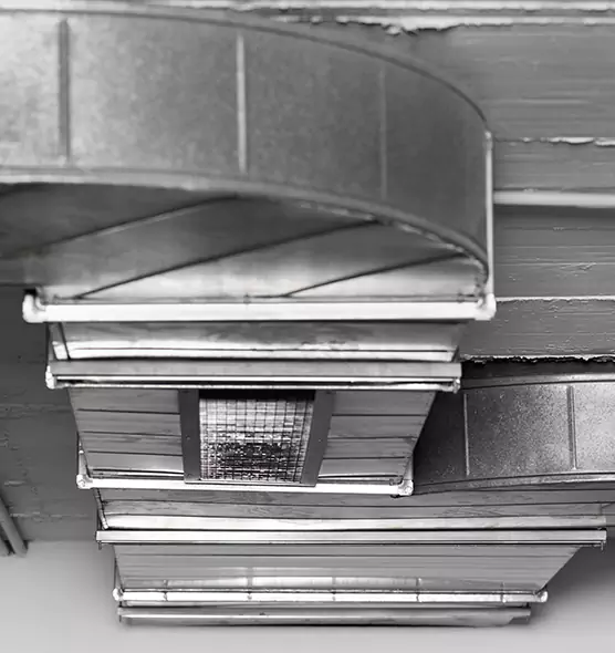 Professional Air Duct Pest Removal in Allison Park, PA