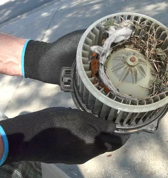 About Air Duct Rat Removal in Allison Park, PA