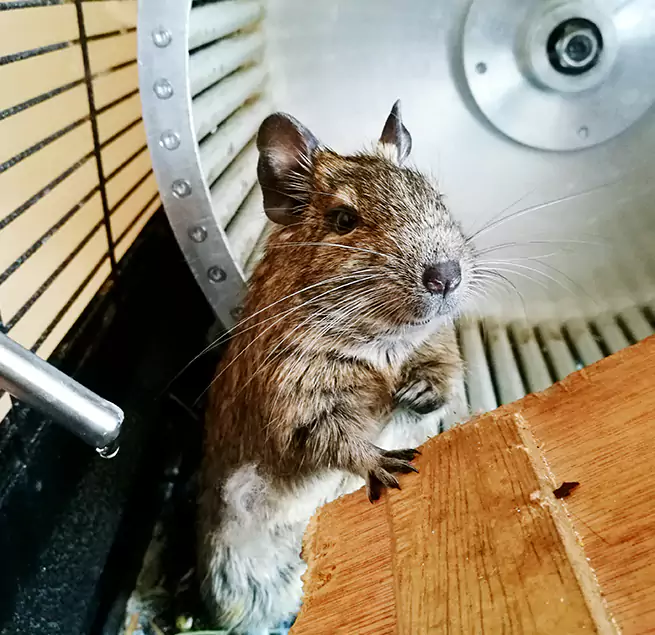 Why Homeowners & Businesses Trust Us Allison Park, PA?