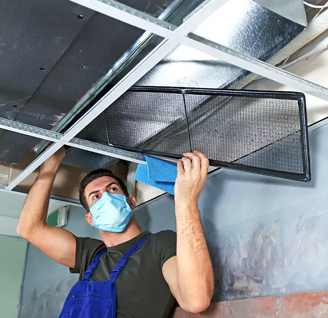 Why Homeowners Businesses Trust Us in Allison Park, PA