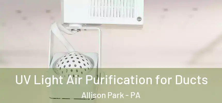  UV Light Air Purification for Ducts Allison Park - PA